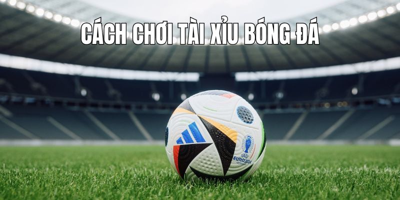 Cách chơi tài xỉu bóng đá từng loại hình 